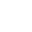 Client Briefing